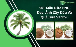 50+ Mẫu Bánh Tét PNG Đẹp, Hình Vẽ Bánh Tét Ngày Tết Độc Đáo